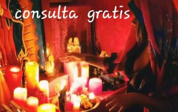 consulta gratis