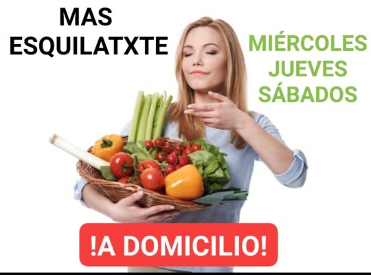 CESTAS personalizadas de FRUTAS y VERDURAS ORGÁNICAS KM0