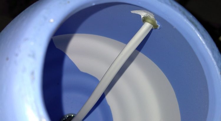 Lámpara azul y lámpara flexo 10 €