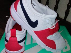 Nike Trainerendor SB nuevas